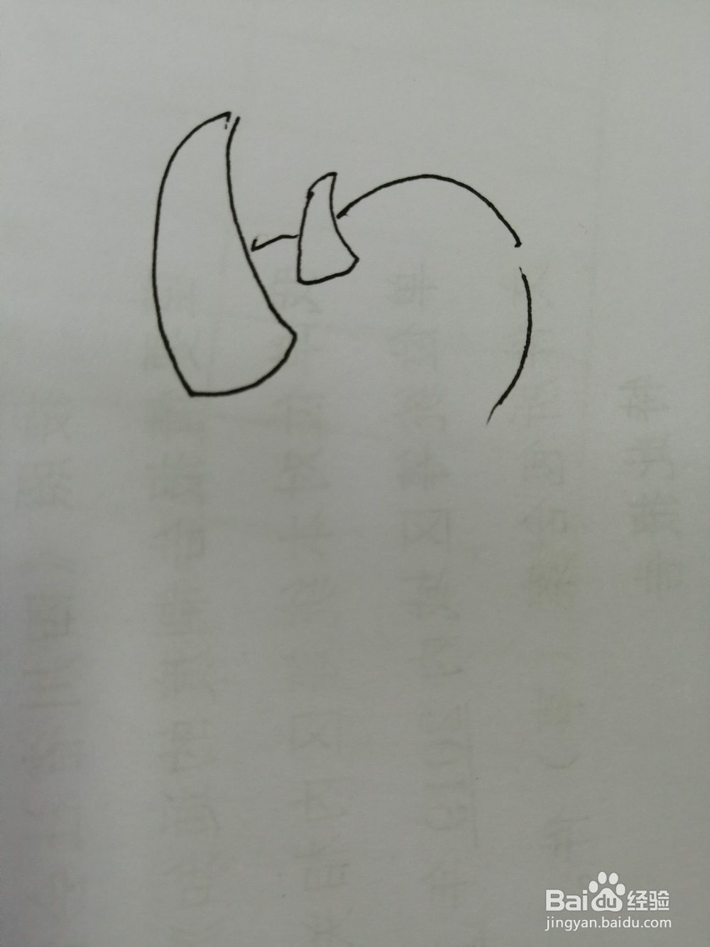 开心的小犀牛怎么画