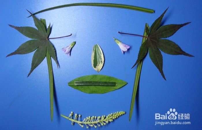 植物简笔画之快乐的思考者