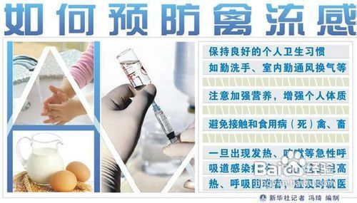 h7n9禽流感防治常识