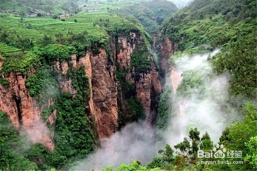 你心目中的重庆是什么样子的？