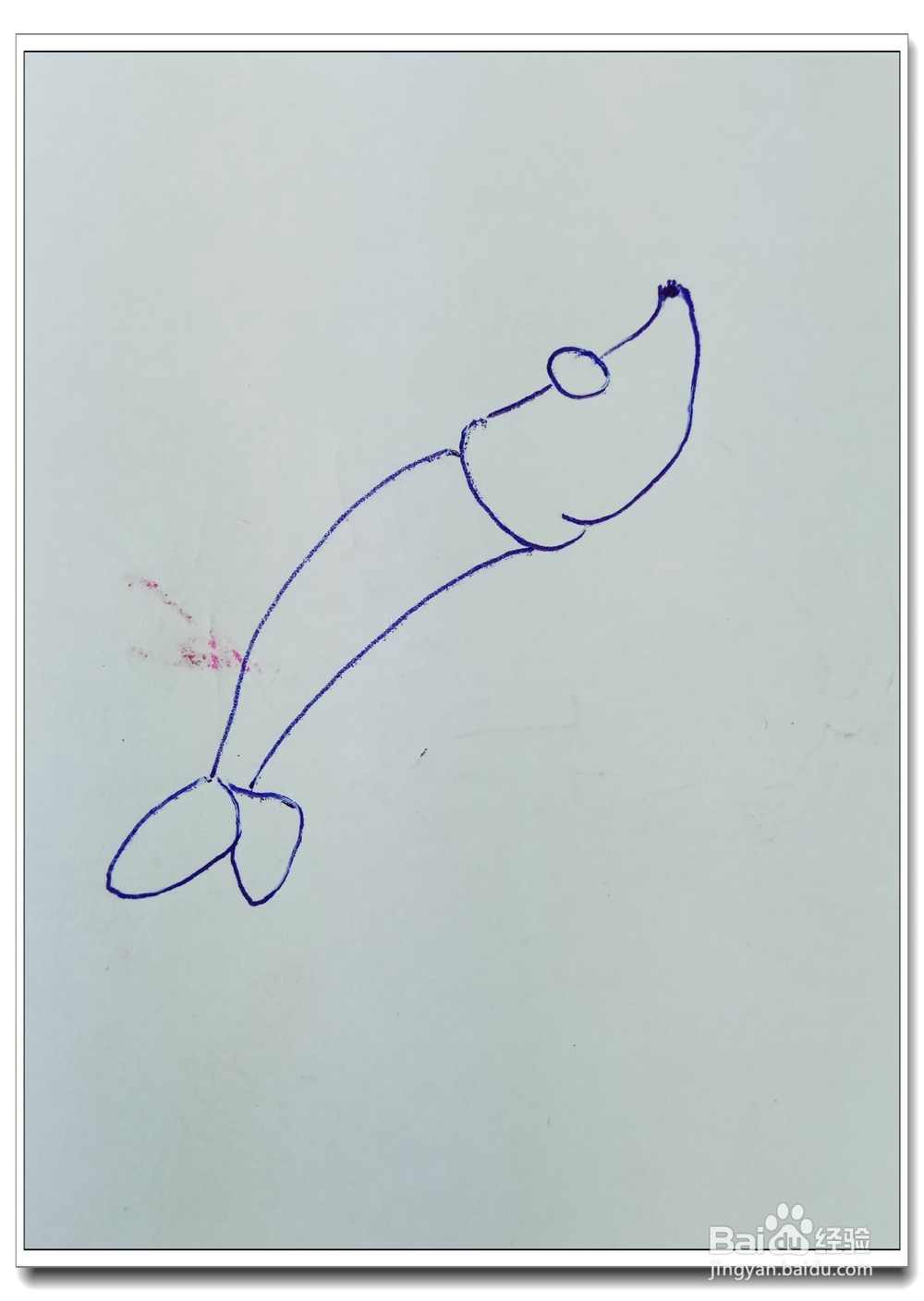 怎样画简笔画“漂亮的大虾”？
