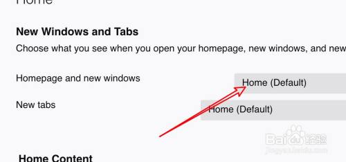 mac水狐浏览器怎么设置主页？