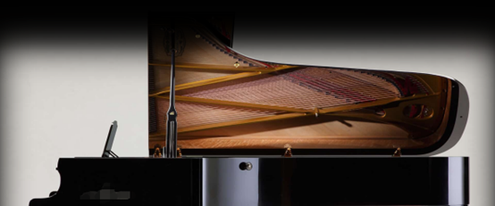 零基础自学电钢琴应该怎么选？