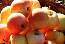 中医盘点11种最常见的一定要吃的抗癌食物