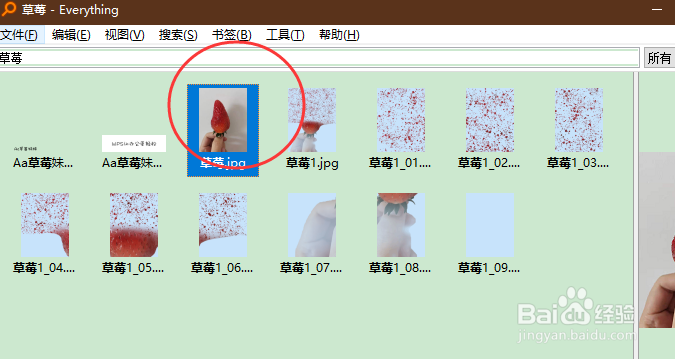 everything软件怎样设置使用缩略图查看文件