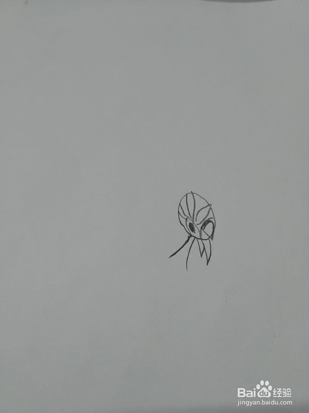 猪猪侠火焰鹤怎么画