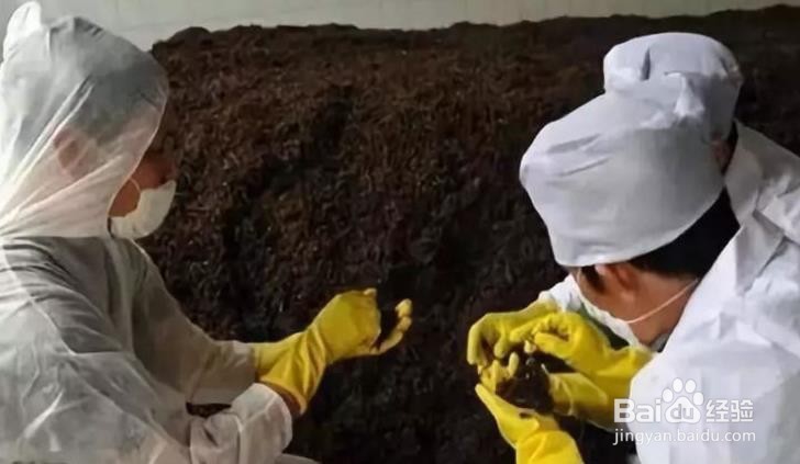 普洱发酵熟茶工艺方法