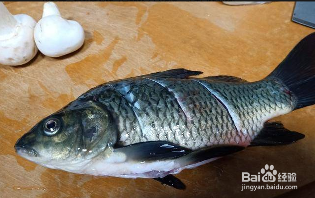 怎么煮鱼汤不会碎？