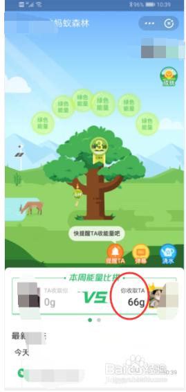 支付宝蚂蚁森林怎么收取能量