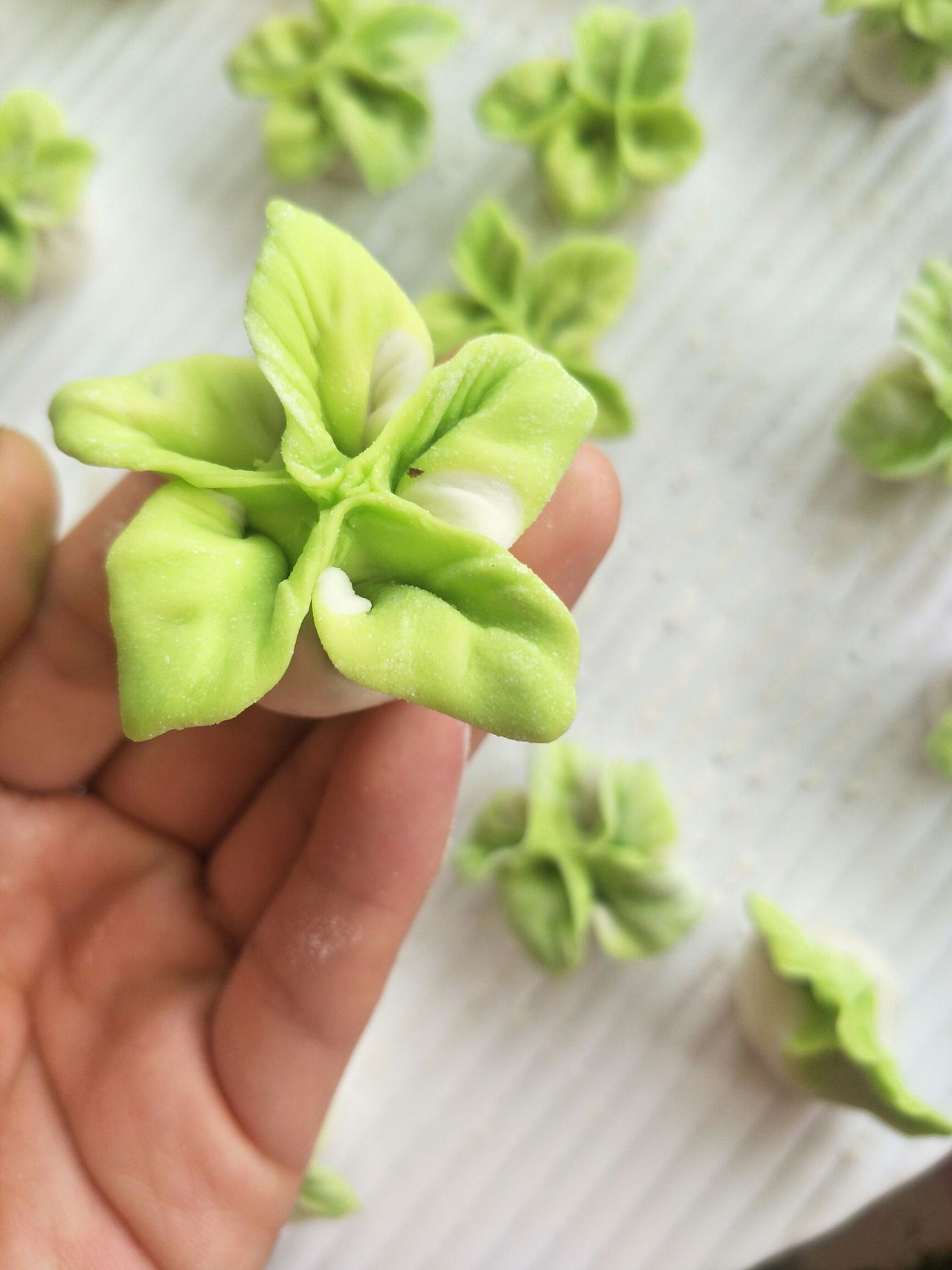 教你如何做出好吃又好看的白菜饺子