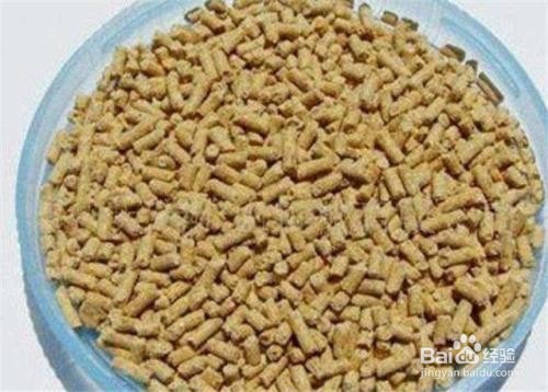 鸡饲料跟花生枯怎么做饵料