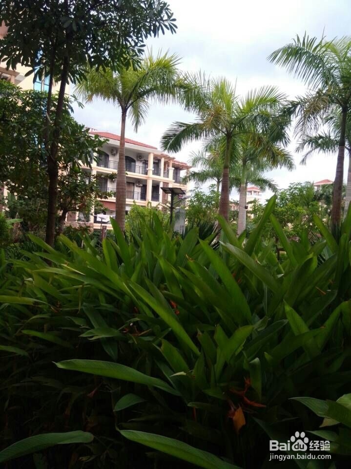 太原到三亚旅游攻略