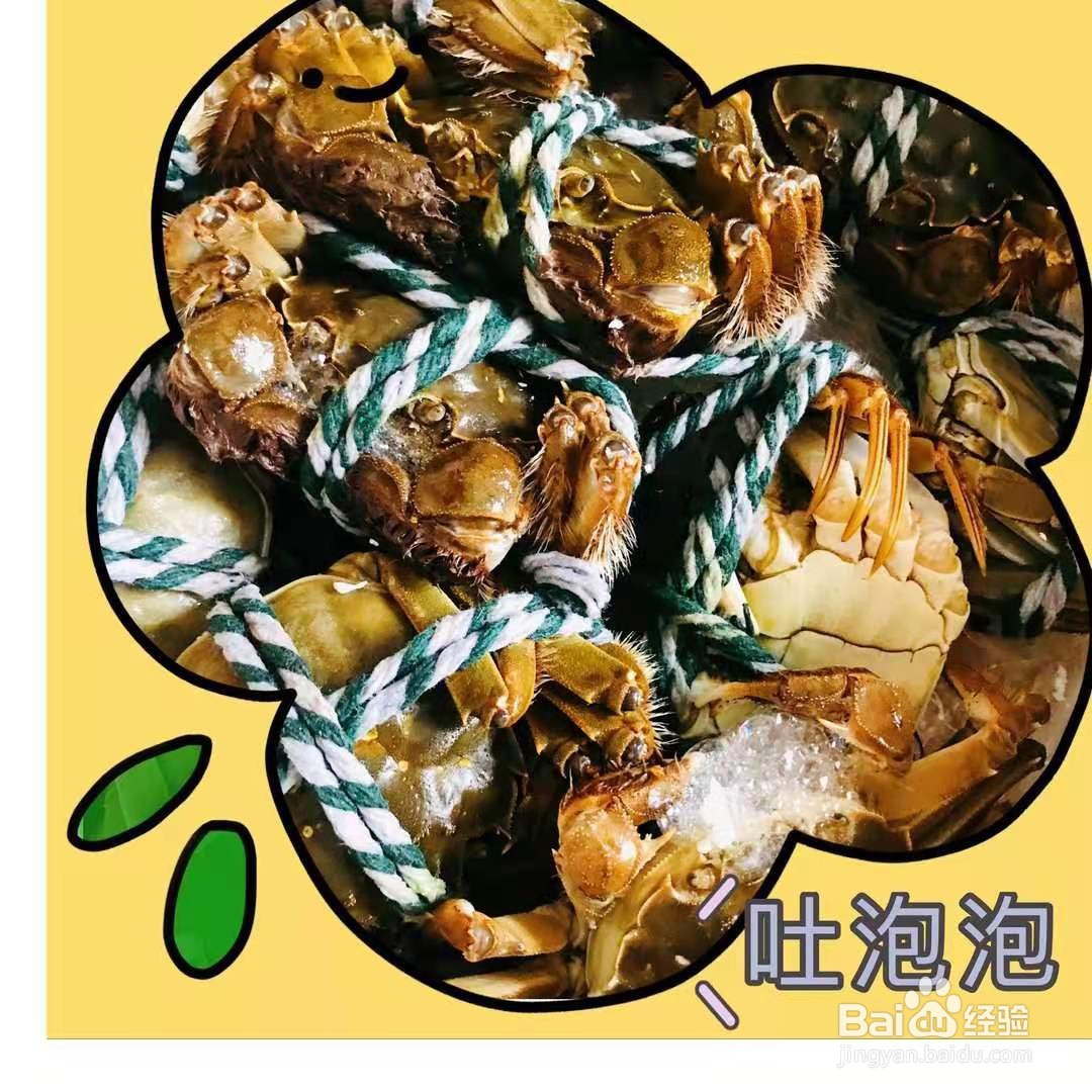 熟的大闸蟹吃不完怎么保存