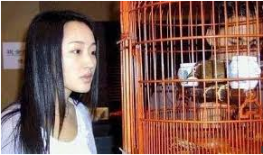 如何提高孩子的记忆力和方法