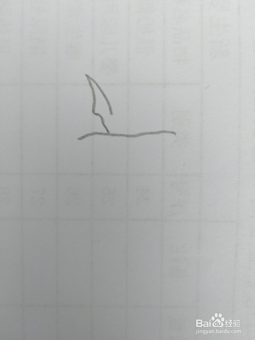 简笔画柿子画法九