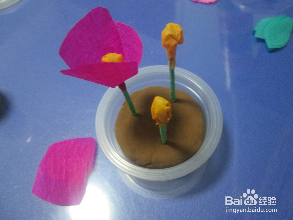 果冻盒子制作漂亮的小盆栽