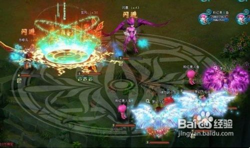 《梦幻飞仙》最省钱打造极品宠物