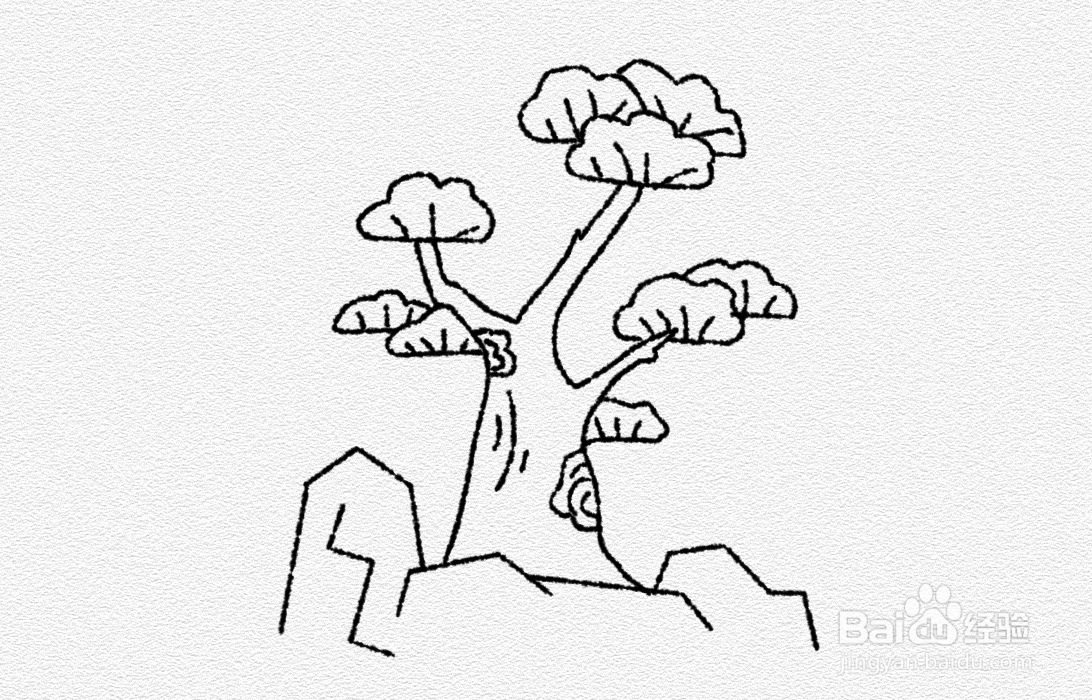 松柏树简笔画