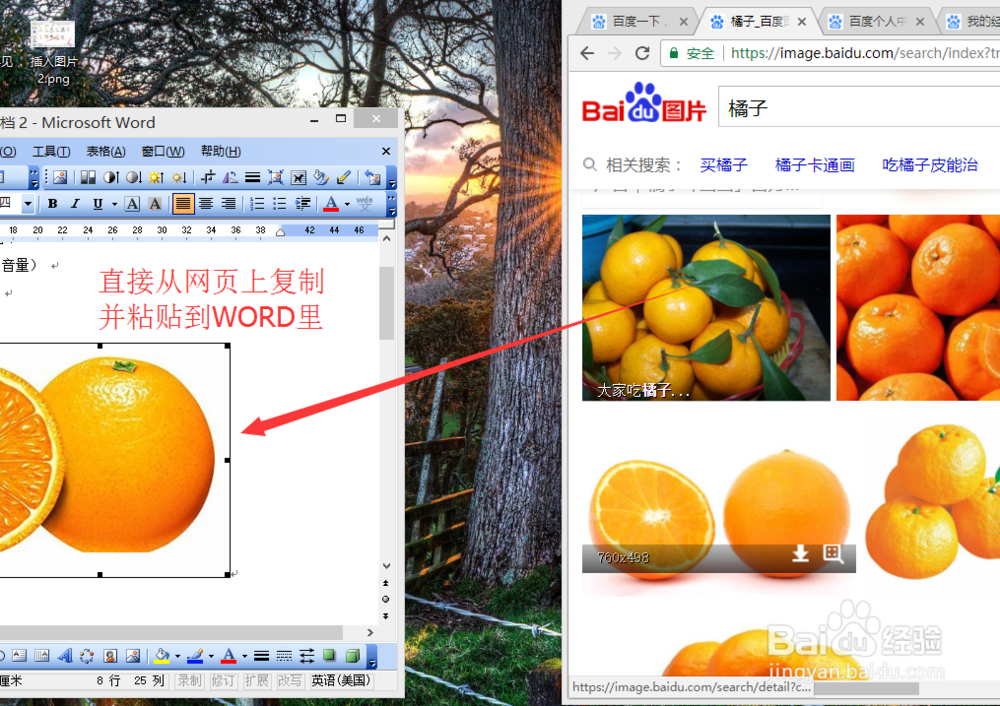 怎样在WORD里配图并且调整图片