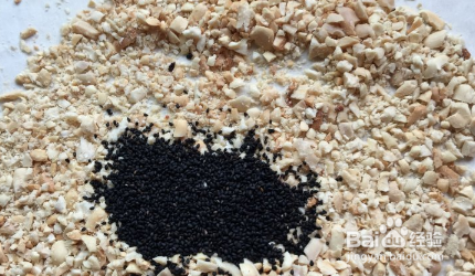 辣椒香菇酱的做法