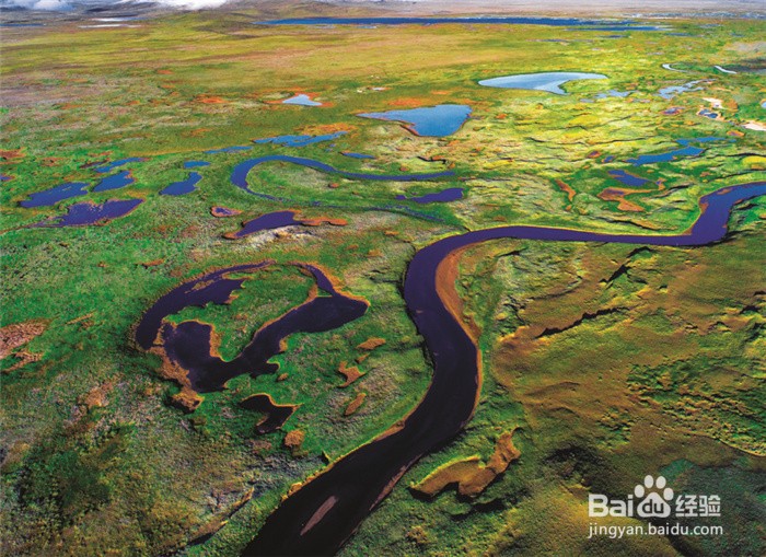 河姆渡人和半坡居民的不同