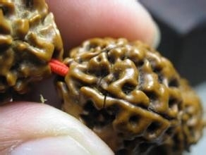 金刚防裂液的使用及功能