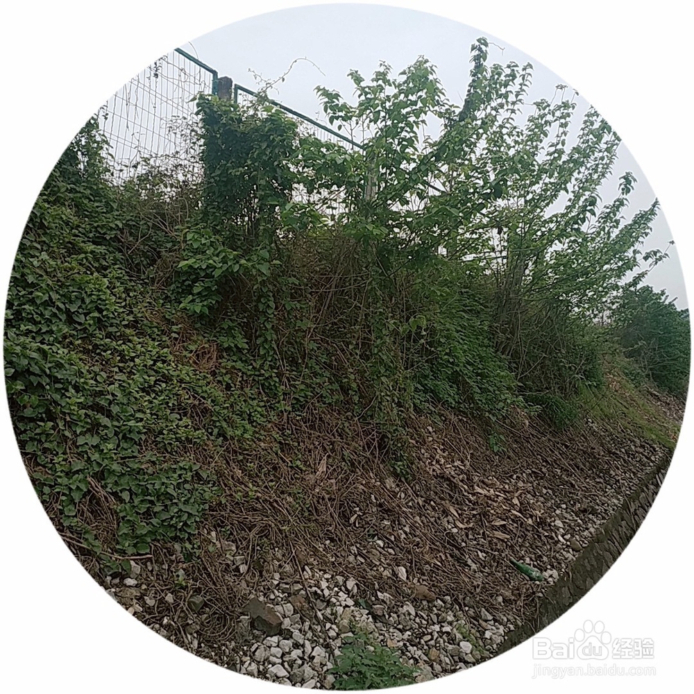 边坡人字骨架加固前期工程有哪些？