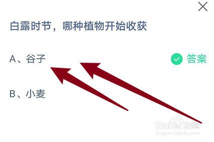 白露时节，哪种植物开始收获？
