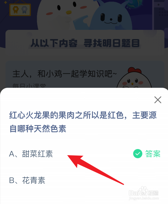 红心火龙果的红色果肉主要源自哪种天然色素