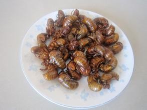 哪种下酒菜吃起来更健康