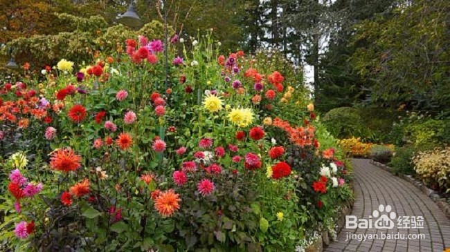 上下班时间要注意什么