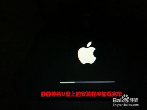 怎样用U盘安装苹果系统
