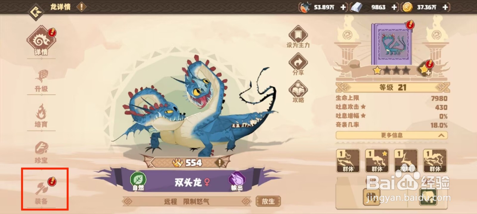 驯龙高手旅程双头龙如何穿戴装备？