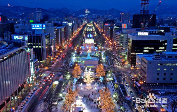 一条性价比爆棚的万元以下日本北海道观雪路线