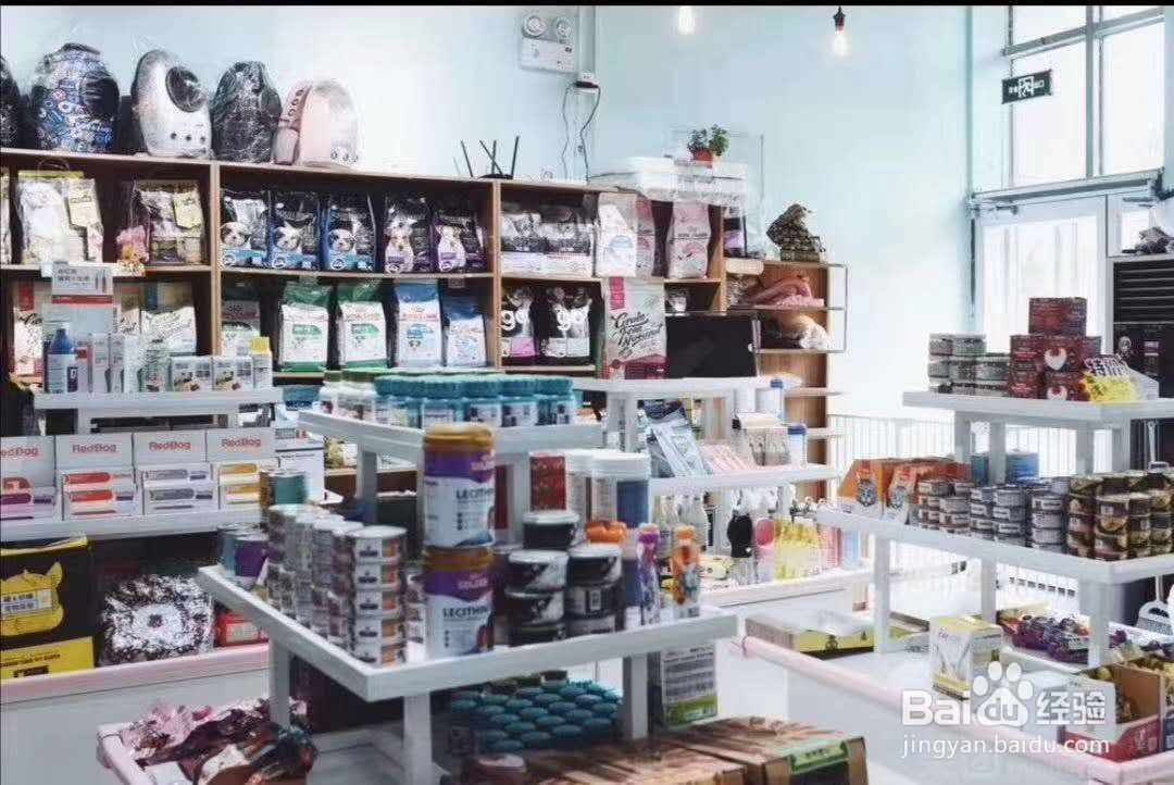 开宠物店的投资方案该怎么制定