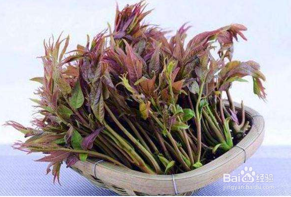 三诺总结高血糖饮食禁忌与控制方法