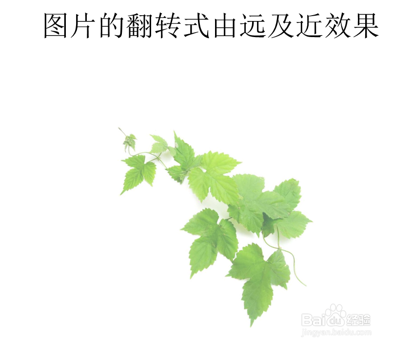 PPT如何创建图片的翻转式由远及近效果