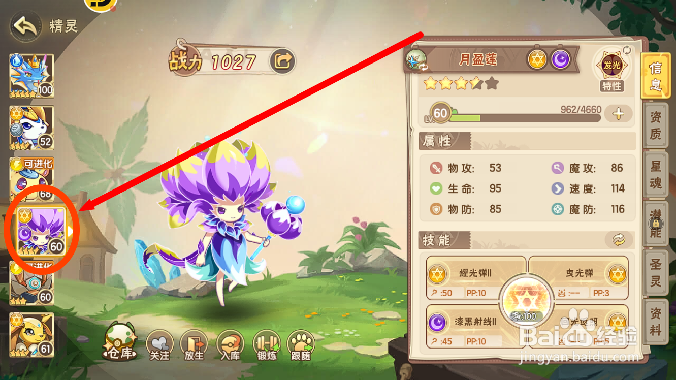 西普大陆怎么设置【月盈莲】作为跟随精灵？