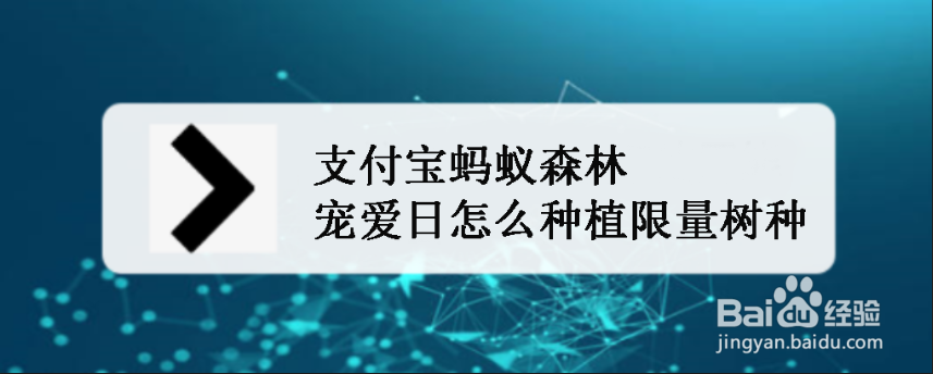 支付宝蚂蚁森林宠爱日怎么种植限量树种