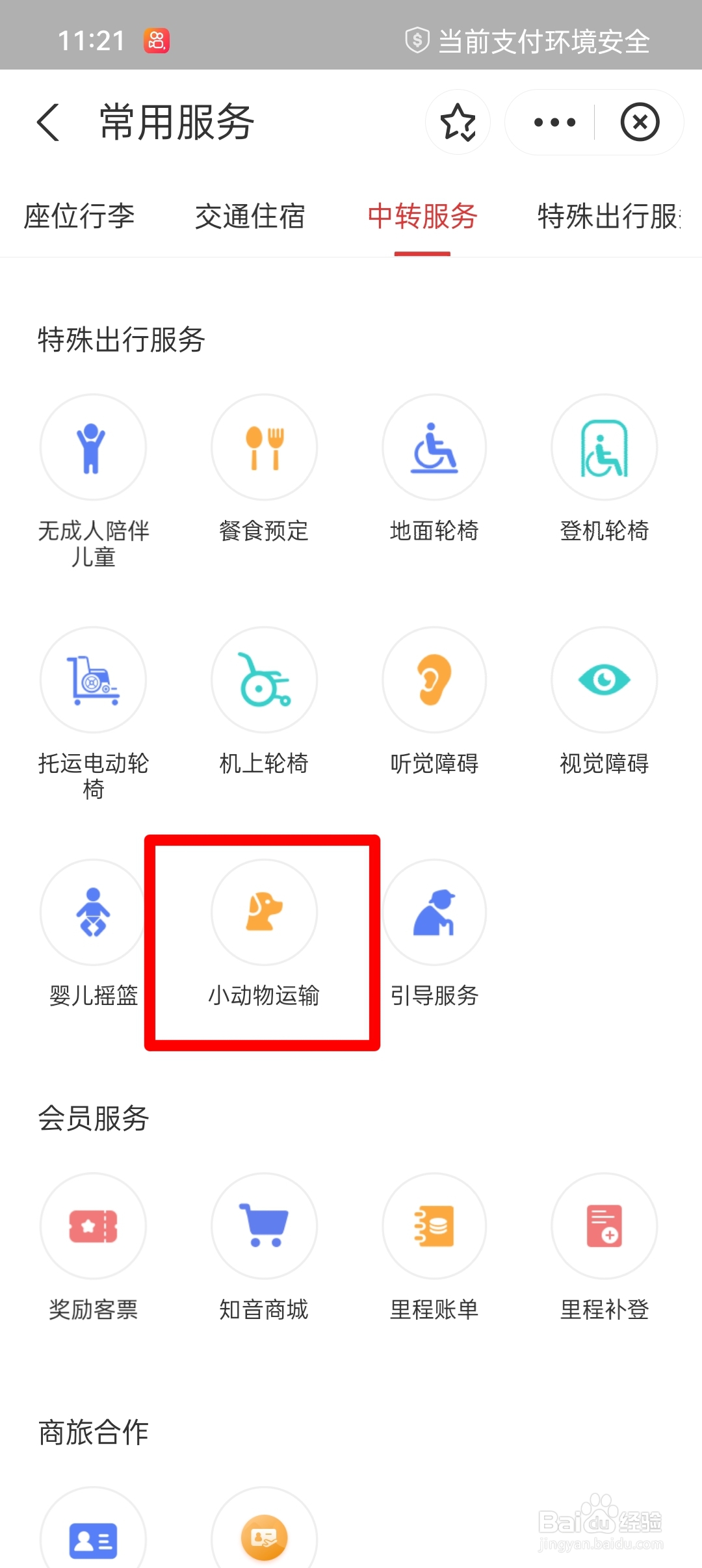 怎样把小仓鼠带上飞机