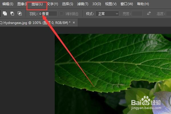 PS如何看图片的尺寸像素
