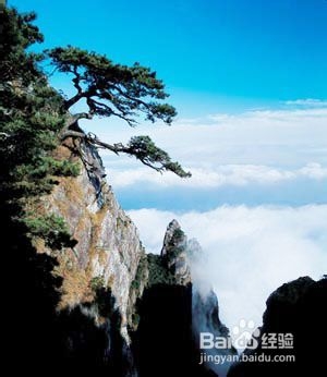 在中国，按月份去旅游