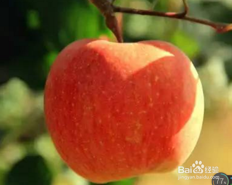 吃苹果度身体有哪些好处