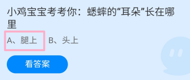 蚂蚁庄园8月31日最新答案是什么