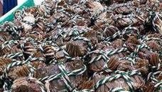 国庆中秋双节在家做螃蟹餐