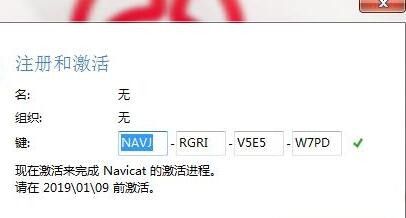 navicat for oracle激活方法
