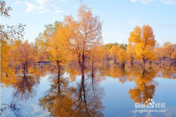 国内情侣最适合的旅游景点