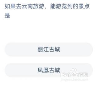 如果去云南旅游，能游览到的景点是哪里蚂蚁庄园