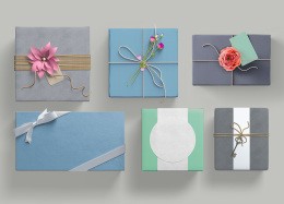 样机素材，提升PPT格调