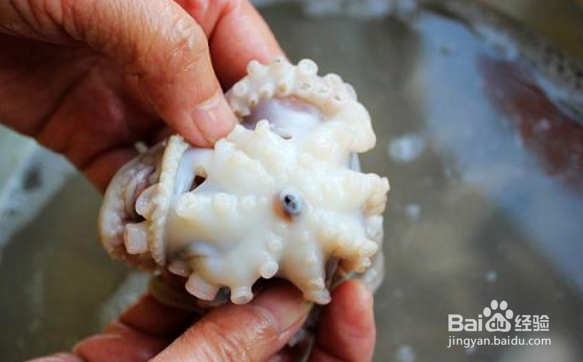 小章鱼怎么处理